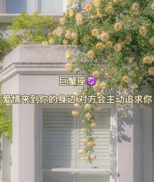 巨蟹座分手后主动联系你