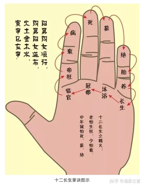 掌中八卦分别看