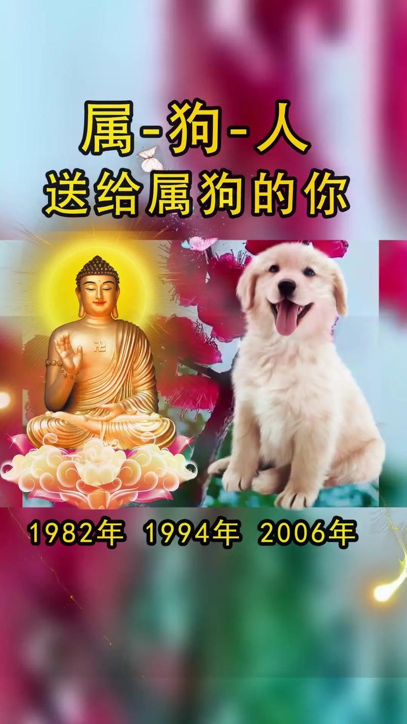 属狗人坚持相信爱情的原因是什么