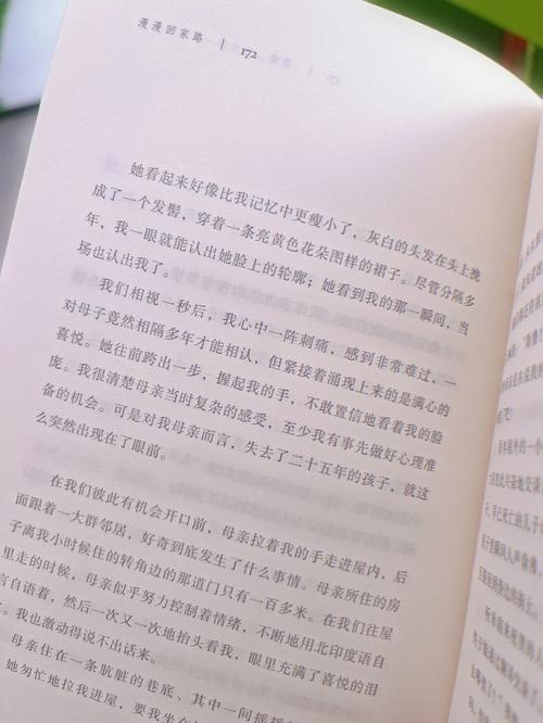 回家路漫漫,属羊回家时会选择什么交通工具