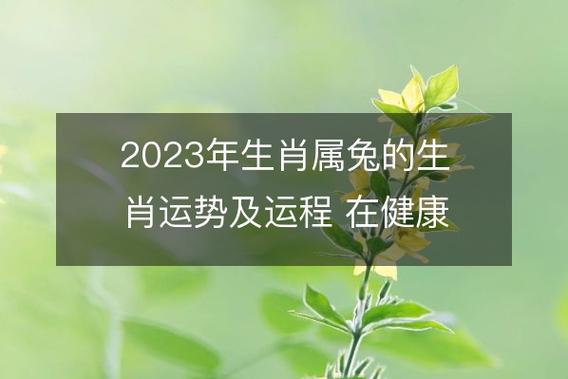 生肖兔在2023年运势