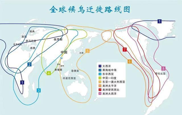 屈姓迁徙分布_人口约七十六万三千余