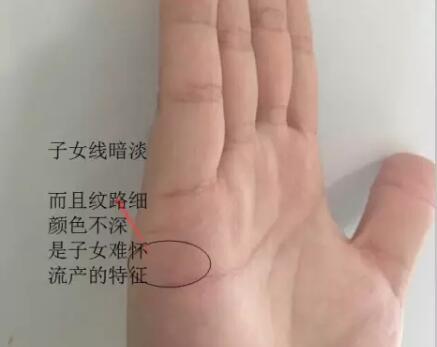 八字怎么看子女缘的相关情况