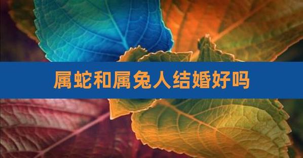 2021年属兔和属蛇人适合结婚吗