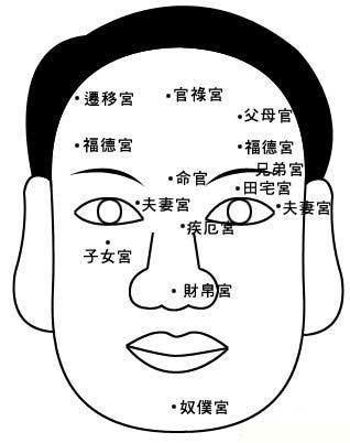 面相看起来很舒服