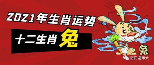 2021年属人的全年运势兔