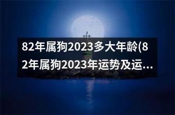 属狗2019年运势下半年运程