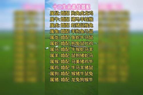 生肖羊的男生和生肖鸡的女生缘份指数