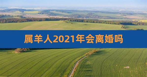 属羊人2021年会离婚吗