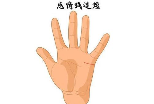 感情线短的男人好吗