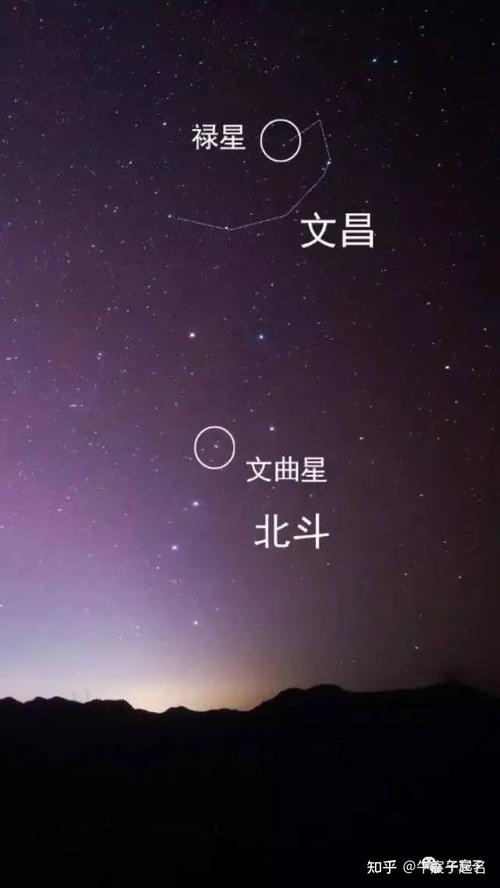 文昌数字孩子手机号码