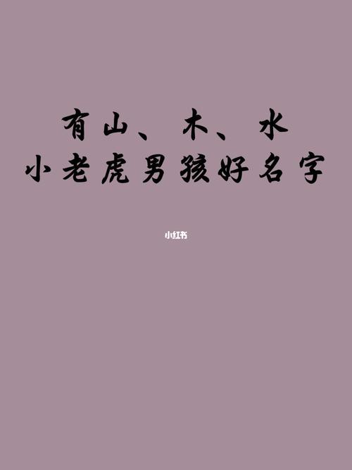 属虎有山有水有树林的孩子名字