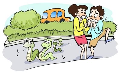 梦见蛇过马路