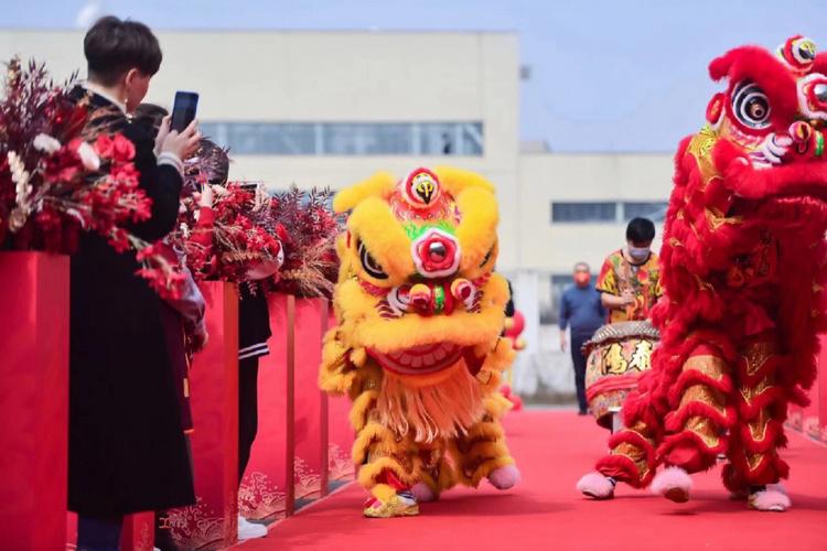 开业舞狮什么颜色的比较好