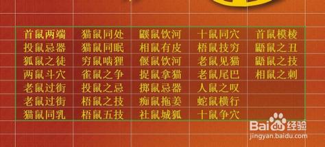 鼠年与什么生肖相冲