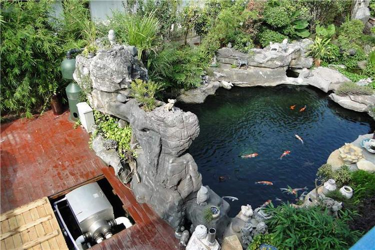 坐北朝南的院子鱼池建在哪好