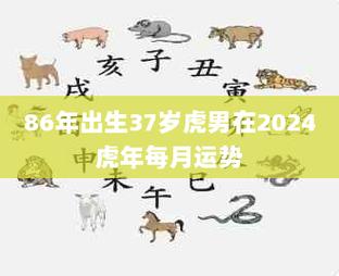 虎年出生的运势男人篇
