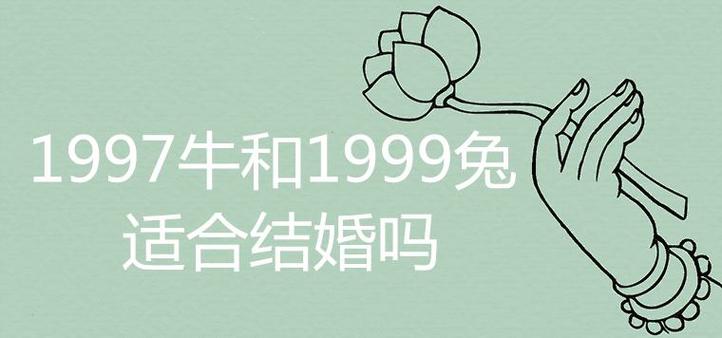 属牛本命年可以和属兔结婚吗?结婚好不好?
