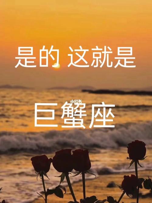 巨蟹座分手后天天发朋友圈