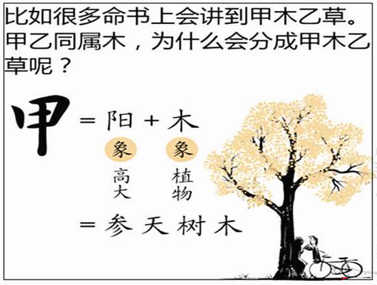 历史上甲木命名人