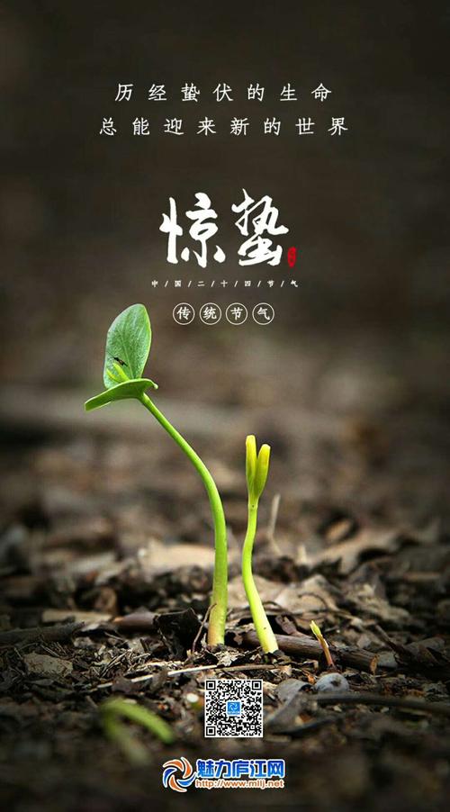 为什么说惊蛰出生的人不好