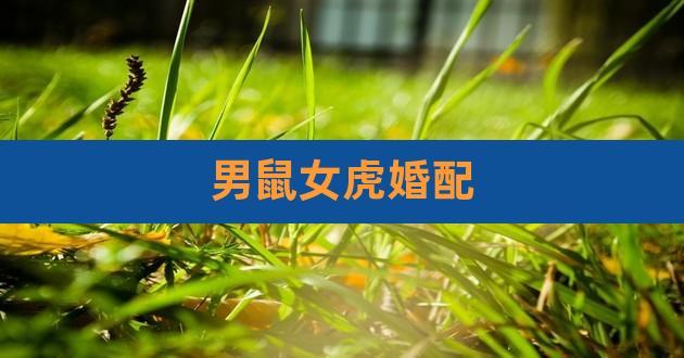 女虎男鼠合婚吗