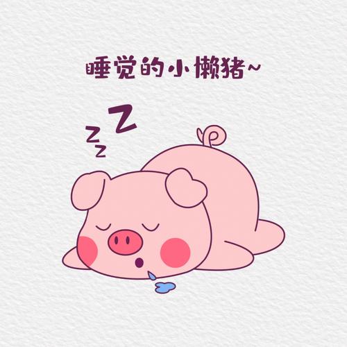 懒懒懒贯穿了生肖猪的整个人生
