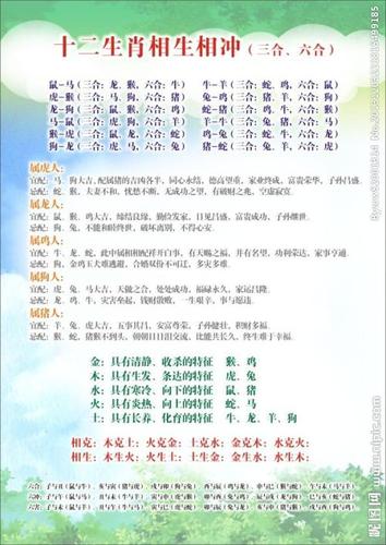 猴和什么属相相冲相克