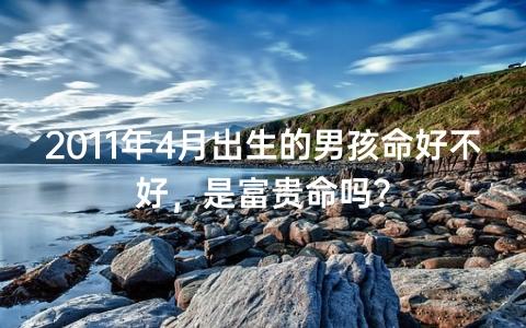 2011年4月诞生的男孩命好不好,是高贵命吗?