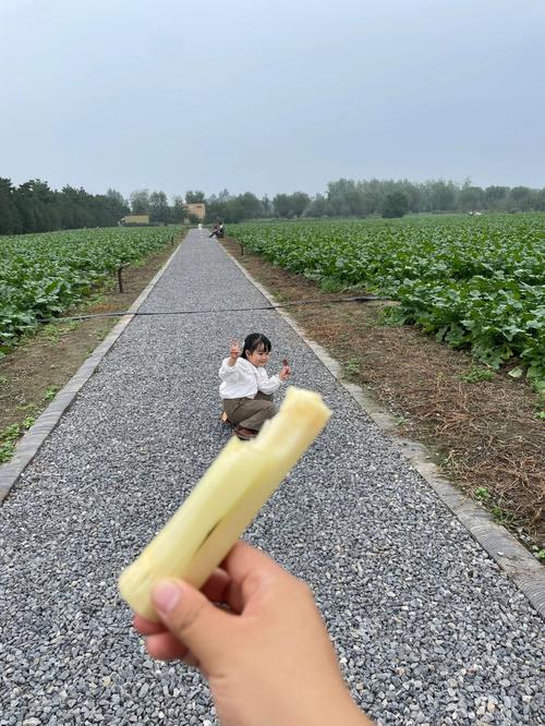 孩子梦见甘蔗有什么征兆?