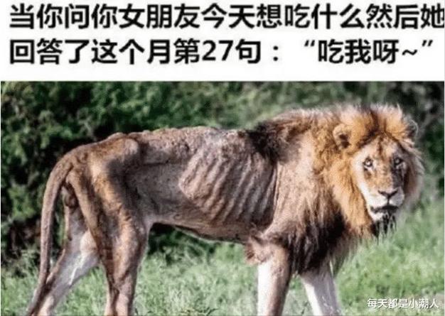 狮子男被什么女的吃得死死的