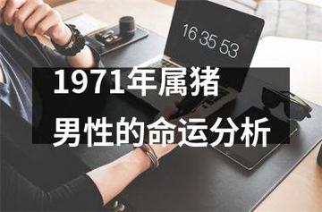 1971年属猪的男人命运怎么样