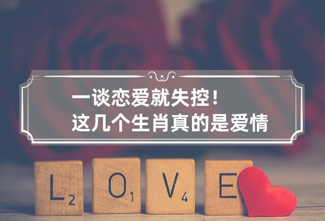 这几个生肖谈恋爱总是用力过猛