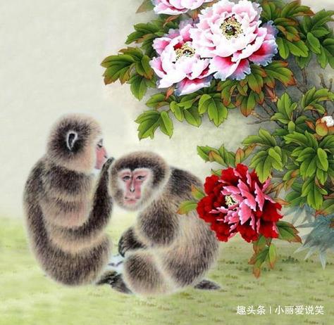 十二生肖猴配啥生肖