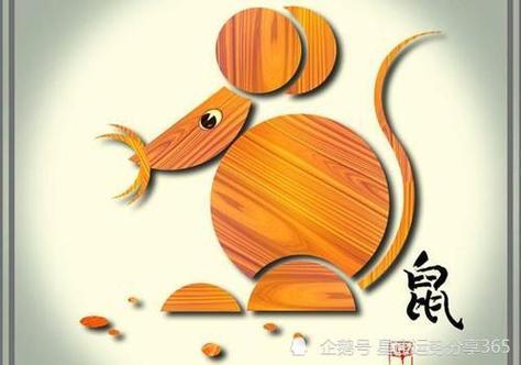 属鼠早上醒来做的第一件事情是啥