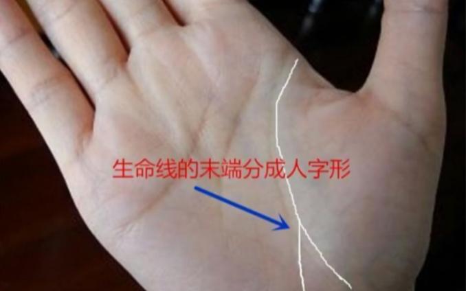 生命线起端有分叉会发生什么呢