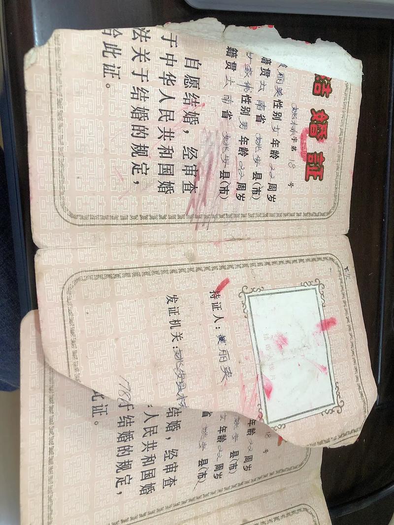 常回家看看,那些富有孝心的生肖女