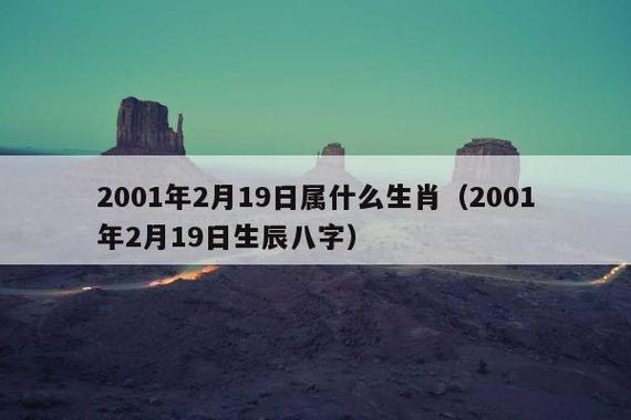 2019年下半年有机会升职的生肖