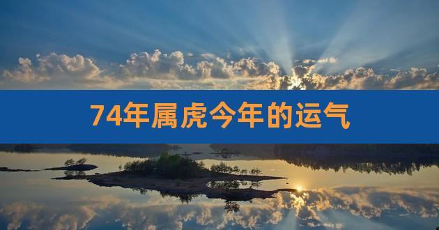 74年属虎的财运那个地方最好