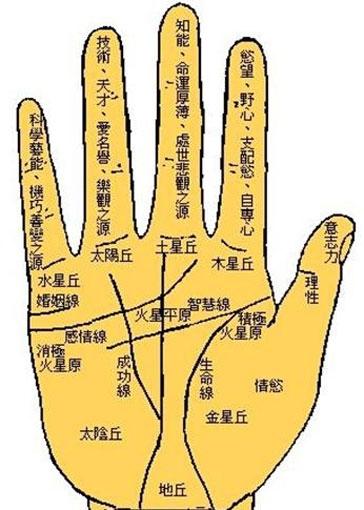 男人的左手的手相图解详细介绍