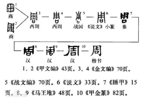 周姓的历史起源是什么