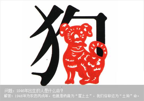 1946年属什么生肖