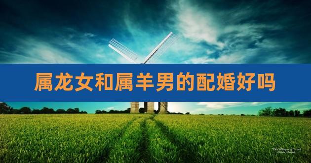 88年属龙和91年属羊的婚姻幸福吗