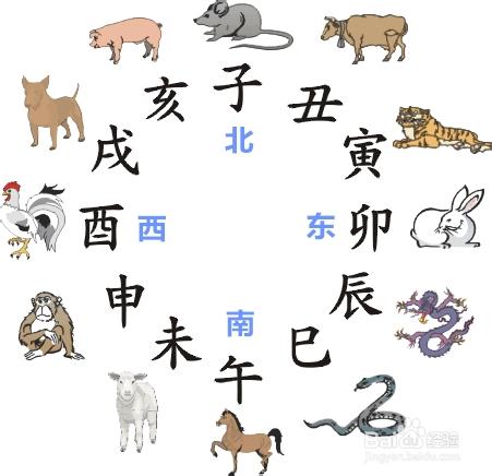 十二生肖猪的风水作用及禁忌