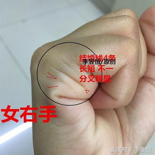 川字掌两条感情线意味着什么