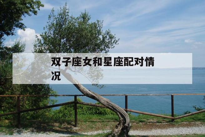 星座配对-双子座和双子座配对