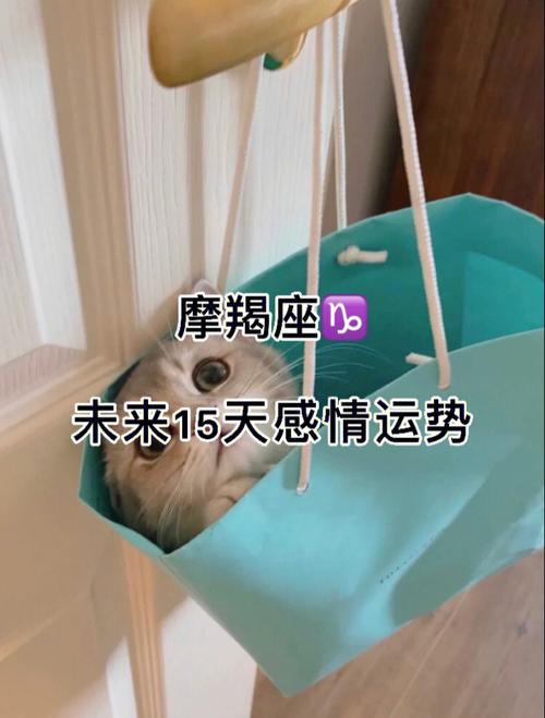 恋爱小技巧:怎么治摩羯座忽冷忽热