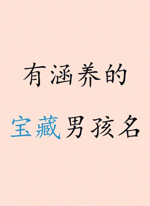 男孩姓辛有涵养的名字