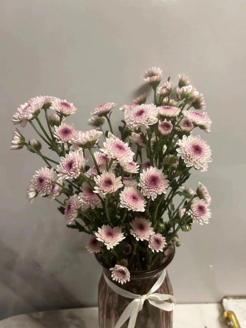 家里放这些东西,桃花运说来就来