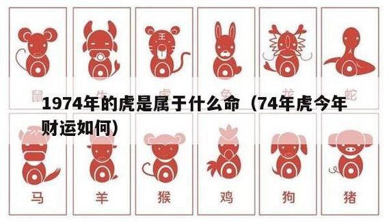 生肖虎根据出生的时辰怎么看财运状况?